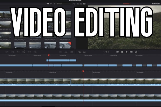I will do professional video editing