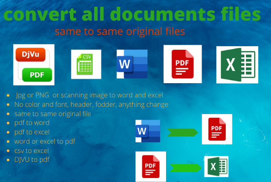 I will convert pdf to word and edit pdf 2 excel and other doc files