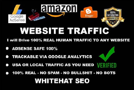 I will make real social or keyword targeted human visitors from USA