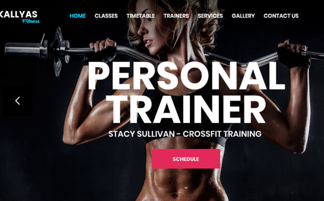 I will build personal gym fitness trainer wordpress website