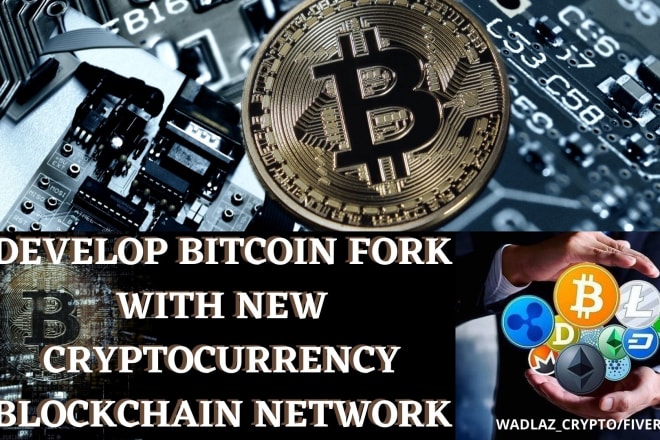 I will develop btc fork with new cryptocurrency blockchain network