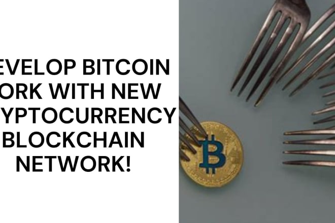 I will fork bitcoin for you and provide new blockchain