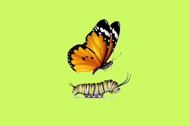 I will design a butterfly logo with unlimited repetitions within 12 hours